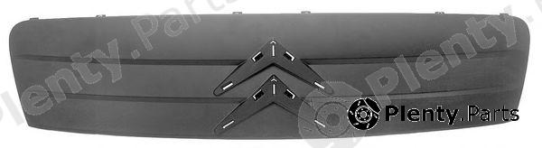 PHIRA part C2-03100 (C203100) Radiator Grille