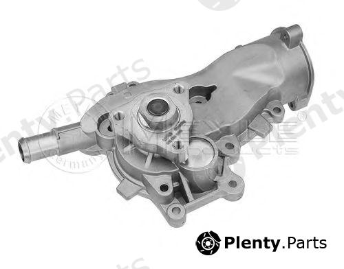  MEYLE part 6132200013 Water Pump