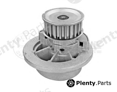  MEYLE part 6136000001 Water Pump