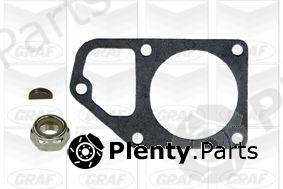  GRAF part PA189 Water Pump