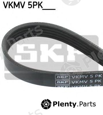  SKF part VKMV5PK1010 V-Ribbed Belts