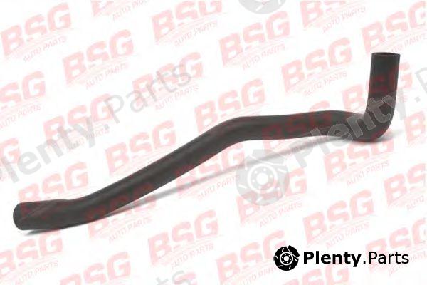  BSG part BSG30-720-087 (BSG30720087) Hose, heat exchange heating