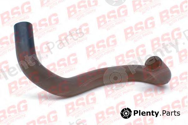  BSG part BSG30-720-091 (BSG30720091) Hose, heat exchange heating