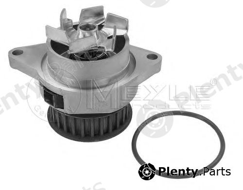  MEYLE part 1130120024 Water Pump