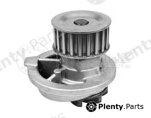  MEYLE part 6136004099 Water Pump