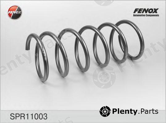  FENOX part SPR11003 Coil Spring