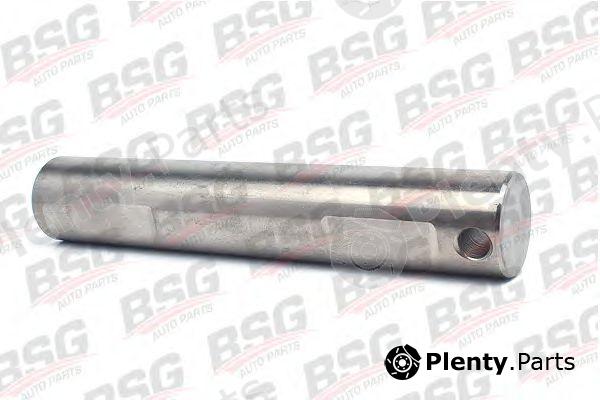  BSG part BSG30-455-001 (BSG30455001) Pinion Set, differential