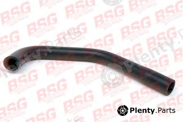  BSG part BSG30-720-021 (BSG30720021) Oil Hose
