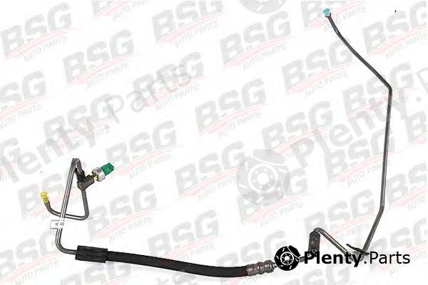  BSG part BSG30-725-034 (BSG30725034) Hydraulic Hose, steering system