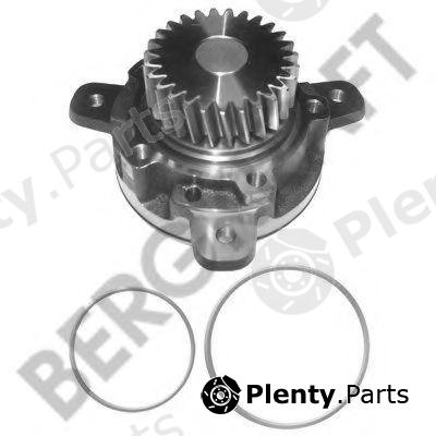  BERGKRAFT part BK4207711WP Water Pump