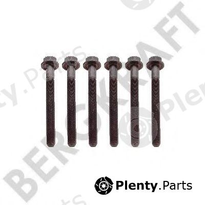  BERGKRAFT part BK8501433 Replacement part