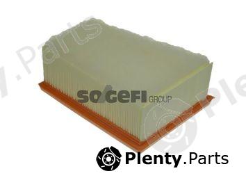  PURFLUX part A1231 Air Filter