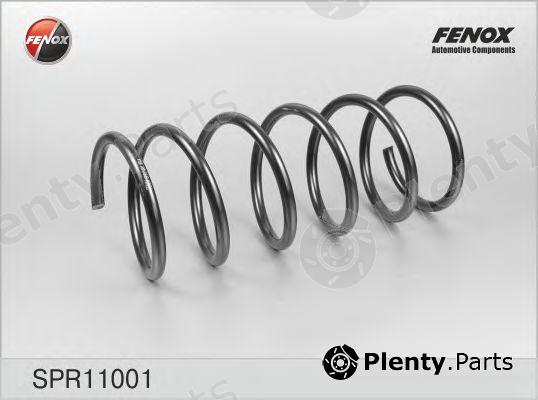  FENOX part SPR11001 Coil Spring