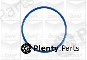  GRAF part PA919 Water Pump
