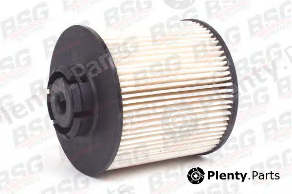  BSG part BSG60-130-006 (BSG60130006) Fuel filter