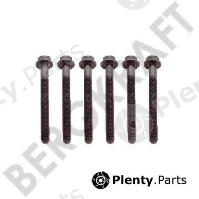  BERGKRAFT part BK8501424 Replacement part