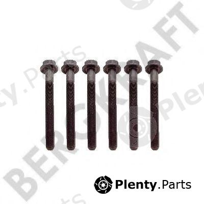  BERGKRAFT part BK8501916 Replacement part