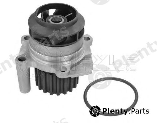  MEYLE part 1130120054 Water Pump