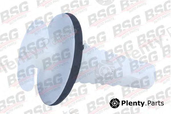  BSG part BSG30-995-002 (BSG30995002) Clip
