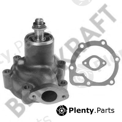  BERGKRAFT part BK6117711WP Water Pump
