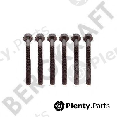  BERGKRAFT part BK8501428 Replacement part