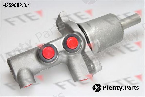  FTE part H259002.3.1 (H25900231) Brake Master Cylinder