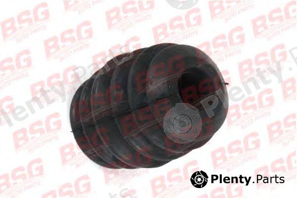  BSG part BSG30-700-169 (BSG30700169) Dust Cover Kit, shock absorber