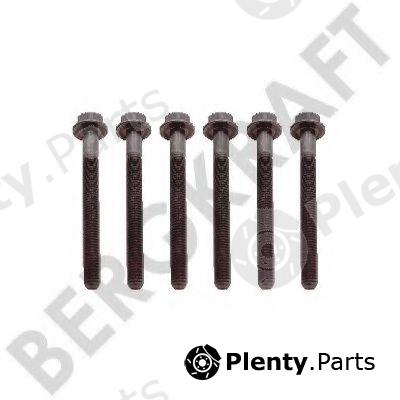  BERGKRAFT part BK8501445 Replacement part