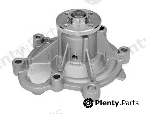  MEYLE part 0132200002 Water Pump