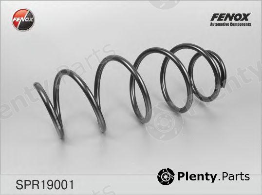  FENOX part SPR19001 Coil Spring