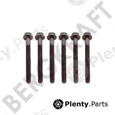  BERGKRAFT part BK8501418 Replacement part
