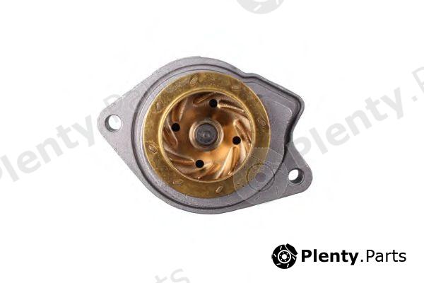  HEPU part P541 Water Pump