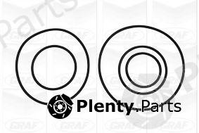  GRAF part PA1010 Water Pump
