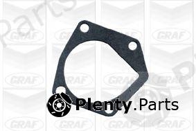  GRAF part PA619 Water Pump
