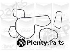 GRAF part PA729 Water Pump