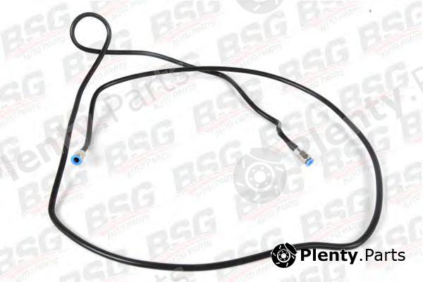  BSG part BSG30-725-025 (BSG30725025) Fuel Hose