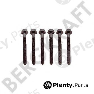  BERGKRAFT part BK8501588 Replacement part