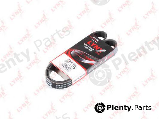  LYNXauto part 6PK0975 V-Ribbed Belts