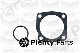  GRAF part PA378A Water Pump