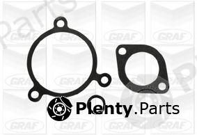  GRAF part PA800 Water Pump