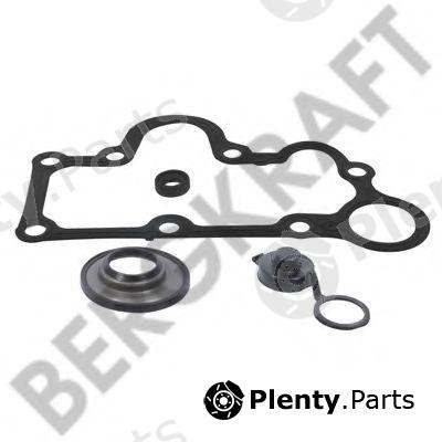  BERGKRAFT part BK1615905AS Repair Kit, brake caliper