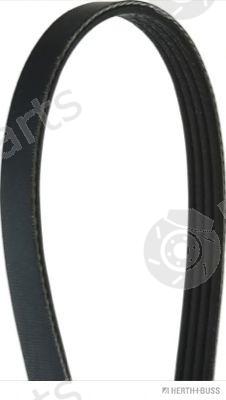  HERTH+BUSS JAKOPARTS part J1043001 V-Ribbed Belts