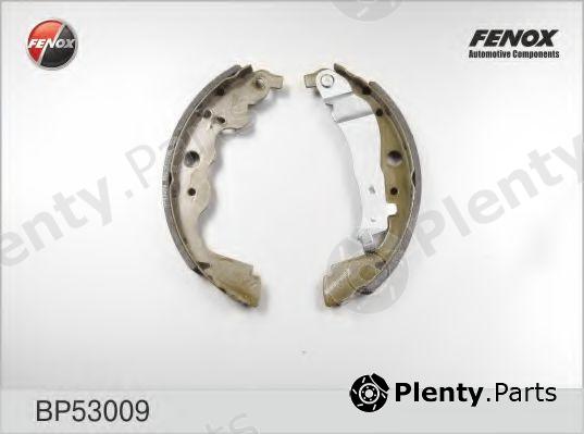  FENOX part BP53009 Brake Shoe Set