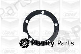  GRAF part PA119 Water Pump