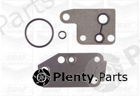  GRAF part PA1100 Water Pump