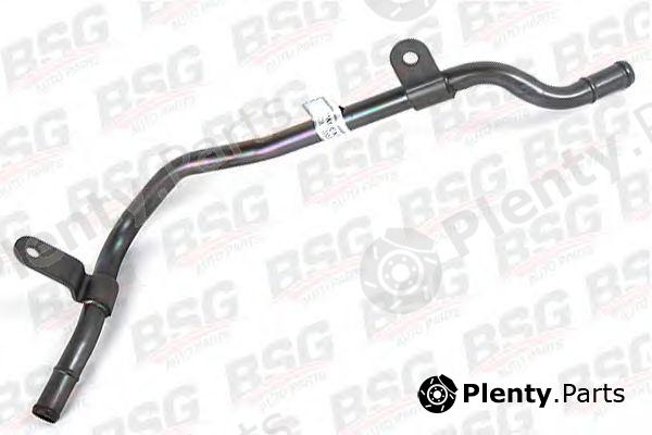  BSG part BSG30-725-049 (BSG30725049) Hose, heat exchange heating