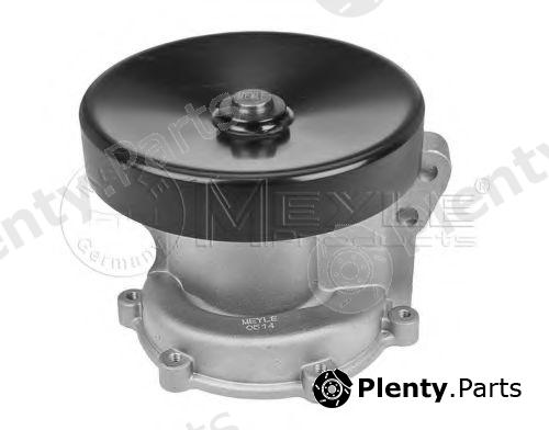  MEYLE part 8139321951 Water Pump