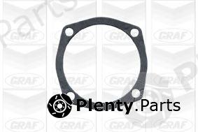  GRAF part PA098 Water Pump