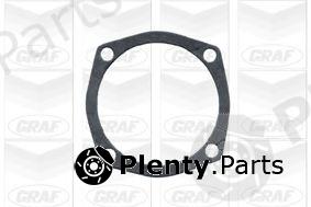  GRAF part PA101 Water Pump