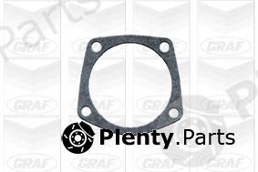  GRAF part PA559 Water Pump